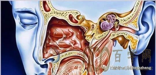 中耳炎是累及中耳(包括咽鼓管,鼓室,鼓竇及乳突氣房)全部或部分結構的