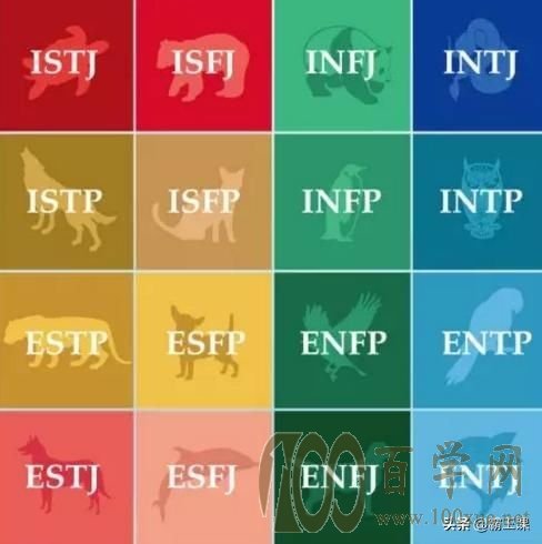 MBTIְҵԸԼ6˽16˸࣬ղ